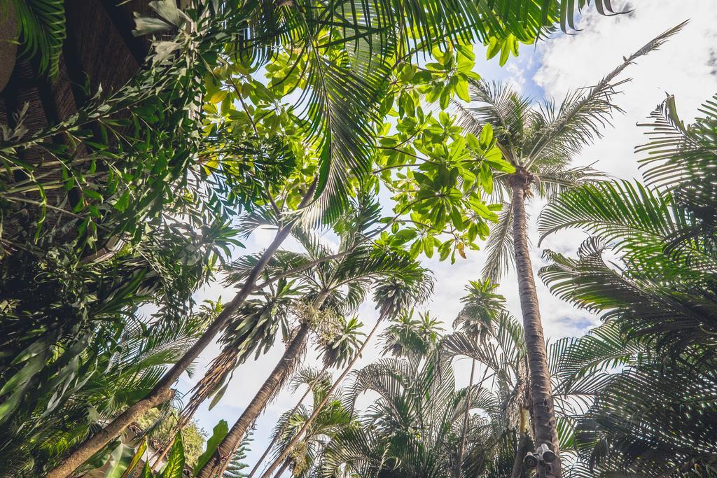 Pura Vida Hostel Tamarindo Kültér fotó