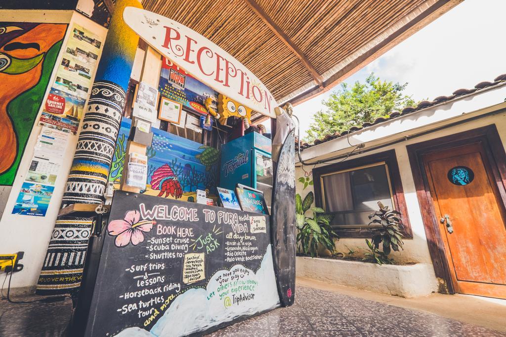 Pura Vida Hostel Tamarindo Kültér fotó